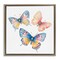 Stupell Industries Whimsical Butterfly Trio Floating Frame, design by Creative Studio